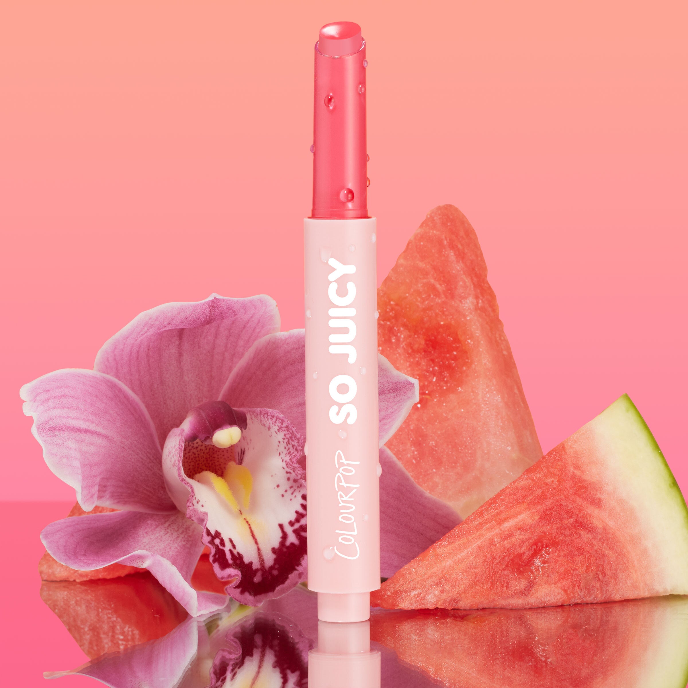 Plumping Lip Gloss Balm with Hyaluronic Acid & Ginger | Passenger Princess