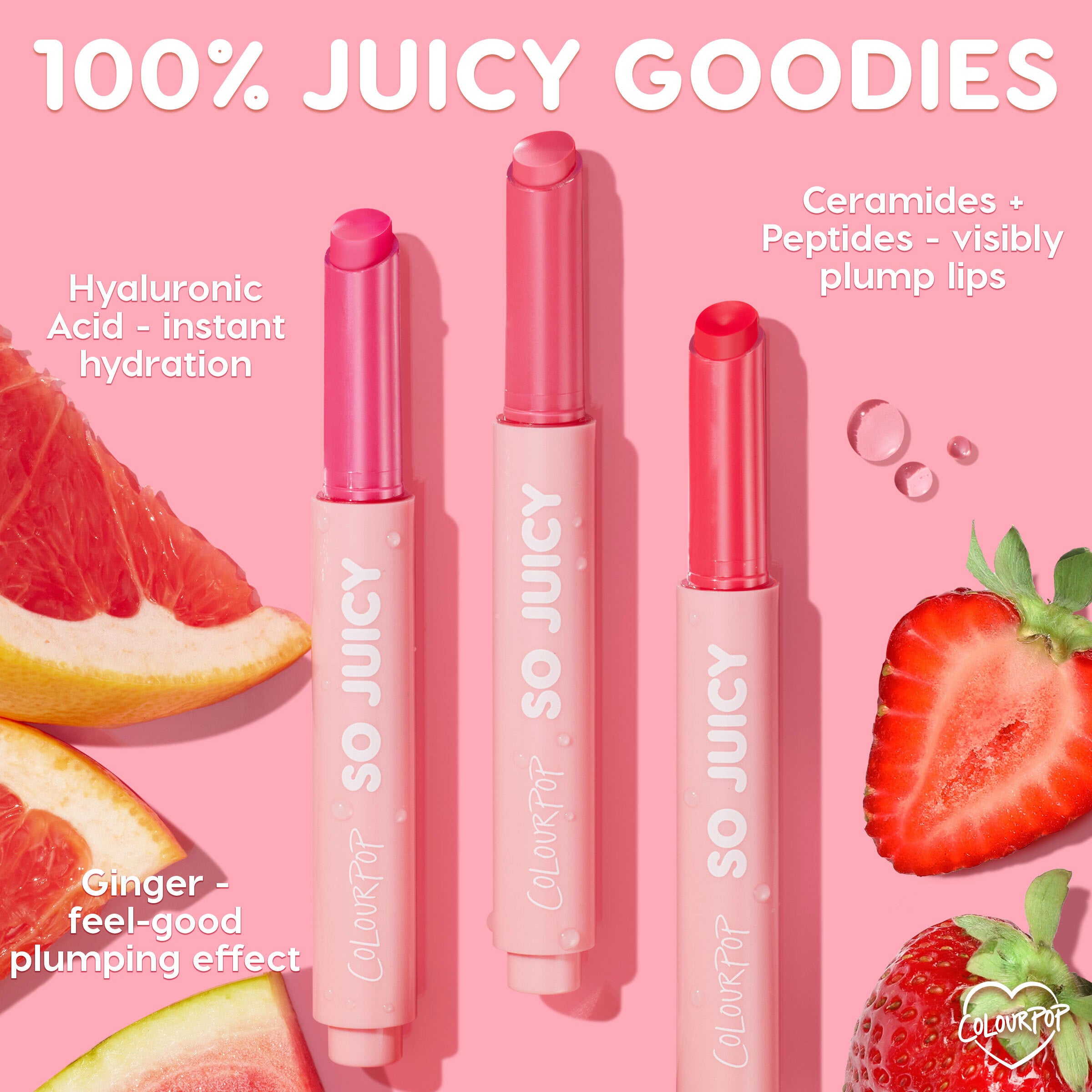 Plumping Lip Gloss Balm with Hyaluronic Acid & Ginger | Passenger Princess